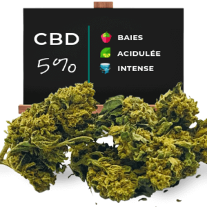 Fleurs de CBD Blueberry Cheese